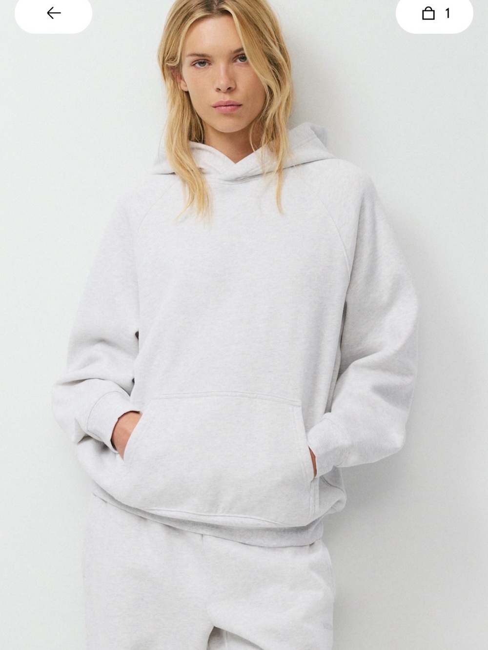 Aritzia Mega Ragland Hoodie